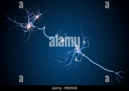 Anatomie des cellules nerveuses dans les détails. 3D illustration Banque D'Images