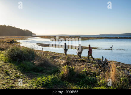 Deux pêcheur de mouche et un guide à pied passé un grand héron le long d'une plage d'eau salée tandis que l'estuaire de la pêche de la truite fardée côtière searun et salm Banque D'Images