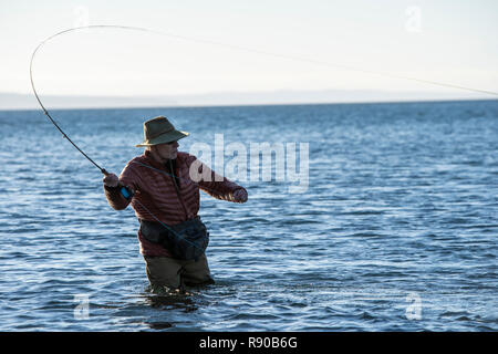 Un homme de race blanche fly fisherman jette pour searun la truite fardée et le saumon dans l'eau salée au large de l'île indienne dans le nord-ouest de l'État de Washington, USA. Banque D'Images