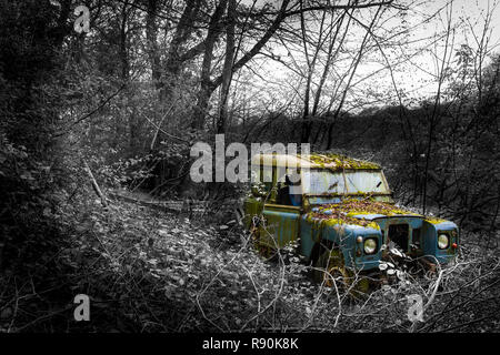 Land Rover Series 3 abandonnée envahie par les mauvaises herbes et de bois Banque D'Images