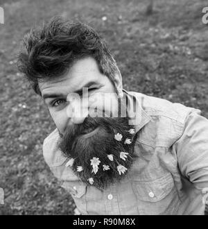 Hipster sur siège au visage avec un clin d'herbe, defocused. Homme avec barbe, pré vert printemps bénéficie d'arrière-plan. Concept de la campagne de printemps. Guy avec moins de chélidoine fleurs dans la prise de photo. selfies barbe Banque D'Images