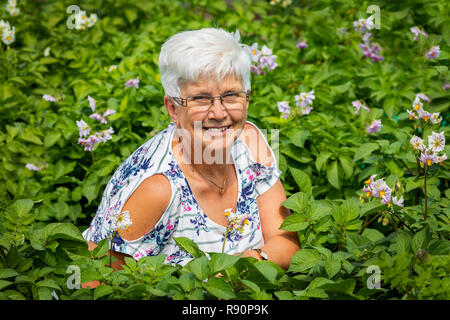 Image de Jean Brown, plot 19b assis sur un lit de patates, jardins, Eglinton Kilwinning, Ayrshire, Scotland Banque D'Images
