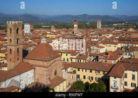 Lucca, Italie : Vue aérienne au-dessus des toits de Torre delle Ore et les collines de Cattedrale di San Martino Banque D'Images