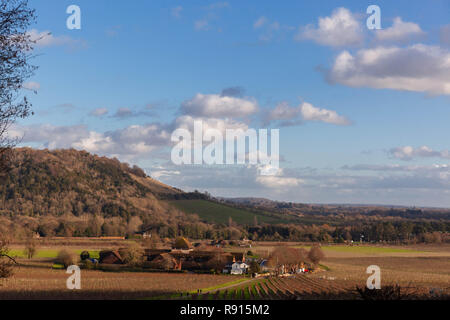 Vue de Fort Hill vu de Denbies Wine Estate, North Downs, Surrey, Angleterre, Royaume-Uni. Banque D'Images