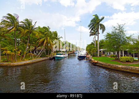 Bateaux amarrés le long du canal dans la banlieue de Miami, Floride. Palmiers et disponibles sous le bleu ciel nuageux. Banque D'Images