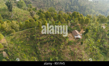 Forêt tropicale de montagne avec les terres agricoles, village, champs avec des cultures, des arbres. Vue aérienne des terres agricoles sur montagne. paysage tropical Bali, Indonésie. Banque D'Images