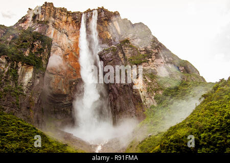 Vue de dessous forêt de Salto Angel au Venezuela en canaima park, donnant un sentiment de découverte et d'émerveillement Banque D'Images