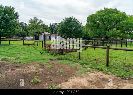 Ferme laitière Irene est une ferme laitière dans la région de Irene, Pretoria, où la recherche se fait. Banque D'Images