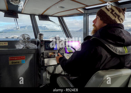 Le capitaine d'un bateau en direction de Hot Springs Cove à Tofino, Colombie-Britannique, Canada garde un œil sur la vitre avant pour la vie sauvage Banque D'Images