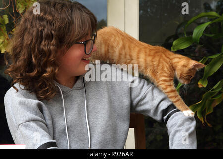 12 ans, fille au gingembre et chaton blanc de grimper sur son épaule Surrey England Banque D'Images