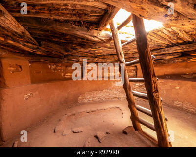 L'intérieur de la kiva, Edge of the Cedars State Park et Museum, Blanding, Utah. Banque D'Images