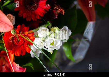 Bouquet de fleurs différentes dynamiques tels que des lys asiatiques orange, l'alstroemeria, germinis, roses et chrysanthèmes jaunes Banque D'Images