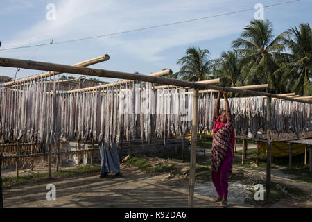 Les poissons sont la pendaison pour être séché à l'usine de poisson sec Nazirartek à Cox's Bazar, le Bangladesh. Banque D'Images