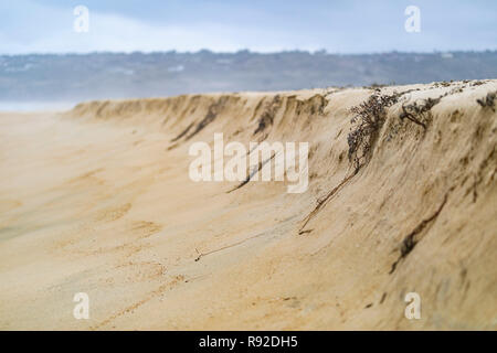 Face à des dunes de sable dans les eaux de l'océan Pacifique à Tunquen Plage à Valparaiso, une superbe plage sauvage et avec beaucoup d'animaux sauvages à cause de cela les zones humides Banque D'Images