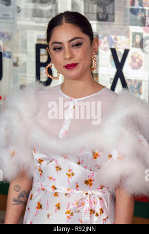 New York, USA. 25Th Dec 2018. L'actrice Rosa Salazar assiste à la projection spéciale de Netflix 'Bird Box' à l'Alice Tully Hall à New York le 17 décembre 2018. Crédit : Jeremy Burke/Alamy Live News Banque D'Images