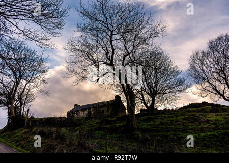 Ardara, comté de Donegal, Irlande. 19 décembre 2018. Le coucher du soleil d'hiver silhouettes d'arbres et les ruines d'une ancienne ferme. Crédit : Richard Wayman/Alamy Live News Banque D'Images