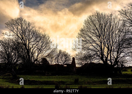 Ardara, comté de Donegal, Irlande. 19 décembre 2018. Le coucher du soleil d'hiver silhouettes d'arbres et les ruines d'une ancienne ferme. Crédit : Richard Wayman/Alamy Live News Banque D'Images