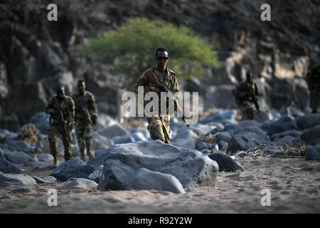 Soldats djiboutiens avec le bataillon d'intervention rapide au cours de tactiques d'infanterie et les procédures de la formation enseignée par les forces américaines le 18 décembre 2018 près de la ville de Djibouti, Djibouti. Banque D'Images