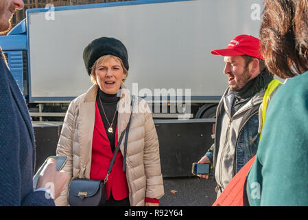 Londres, Royaume-Uni. 19 décembre 2018. Un petit groupe d'extrême droite porter des Brexiteers-viz vestes qui protestaient devant le Parlement pour appeler immédiatement un Brexit aconfront et harceler le député conservateur Anna Soubry, qui ils ont appelé un traître, pour dire qu'il serait peut-être d'un second référendum. Crédit : Peter Marshall/Alamy Live News Banque D'Images