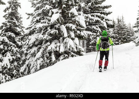Randonnées d'hiver en blanc forêt enneigée. Homme marchant avec sac à dos en hiver bois. Billet et d'un style de vie sain en plein air dans une nature magnifique. Banque D'Images