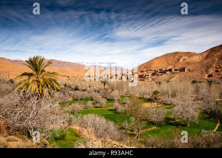 Le Maroc, les gorges du Dadès, village agricole irriguée ait Ouglif champs autour de règlement historique Banque D'Images