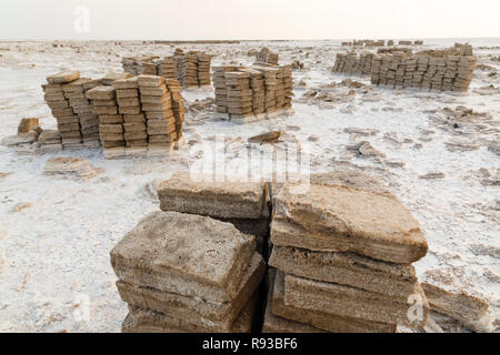 L'extraction du sel dans la dépression de Danakil, Dallol région Afar, Ethiopie, Banque D'Images