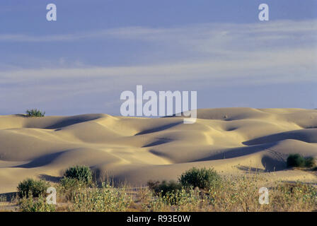 Sable, dunes, Khuri, Jaisalmer, Rajasthan, India Banque D'Images