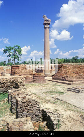 Pilier d'Ashoka, Kolhua, Vaishali, Bihar, Inde Banque D'Images