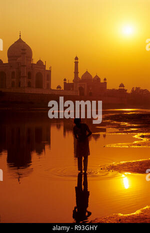 Septième Merveille du Monde Taj Mahal, Agra, Uttar Pradesh, Inde Banque D'Images