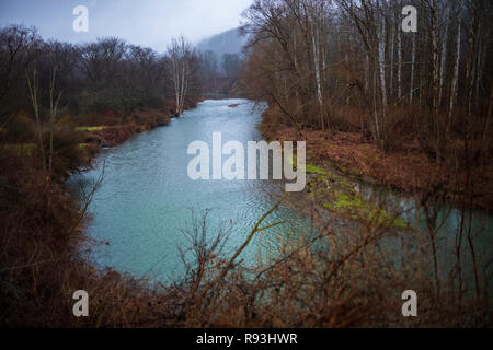 Les bouleaux line un ruisseau qui coule près de Cantor, NY, le 16 décembre 2018. Banque D'Images