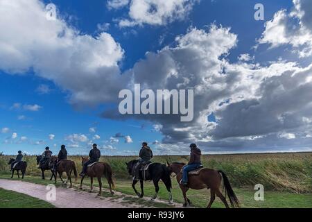 Groupe avec cavaliers sur chevaux, groupe de cyclistes sur le Darß, ciel nuageux, Mecklembourg-Poméranie-Occidentale, Allemagne Banque D'Images