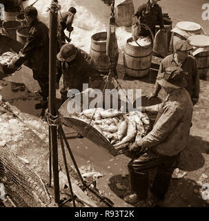 Fulton Fish Market et de la station d'arrimeurs poisson pesée tôt le matin.New York, New York. Circa 1943. Photographie par Gordon Parks/FSA cette impression d'archives est disponible dans les tailles suivantes : 8' x 10' $15.95 w/ LIVRAISON GRATUITE 11' x 14' $23.95 w/ LIVRAISON GRATUITE 16' x 20' $59.95 w/ LIVRAISON GRATUITE 20' x 24' $99.95 w/ LIVRAISON GRATUITE * Le site de l'Américain le filigrane n'apparaît pas sur votre impression. Banque D'Images