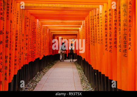 Marche à travers Fushimi Inari cirées à 16h du matin Banque D'Images