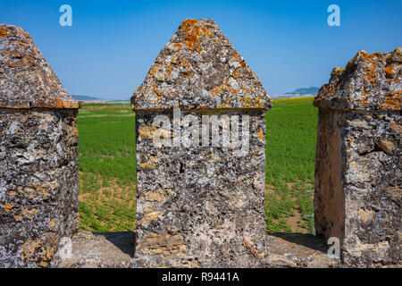 Le château de pierre Aguzaderas abandonnés dans la région de El Coronil, Espagne, les ruines d'un château du 14ème siècle Morrish, repose dans un champ de tournesols sur un été sans nuages, Banque D'Images