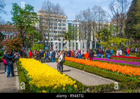 Les touristes visitant le jardin des tulipes. Jardin botanique royal, Madrid, Espagne. Banque D'Images