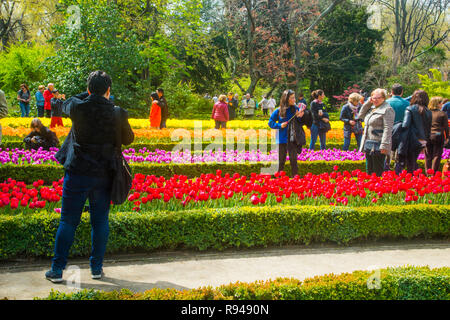 Les visiteurs du Jardin botanique royal. Madrid, Espagne. Banque D'Images