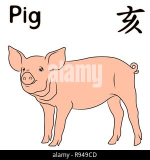 Cochon signe de zodiaque chinois, symbole de l'année prochaine sur le calendrier oriental, hand drawn vector isolé sur fond blanc Illustration de Vecteur