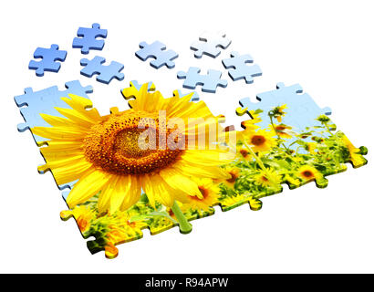 Tournesol - puzzles 3d. Objets isolated over white Banque D'Images