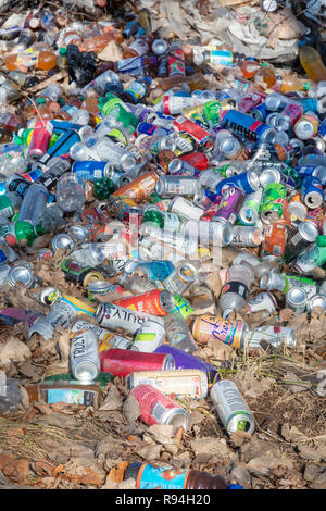 Detroit, Michigan - Plusieurs centaines de bouteilles et boîtes de dumping illégalement dans une zone boisée près du centre-ville. Banque D'Images