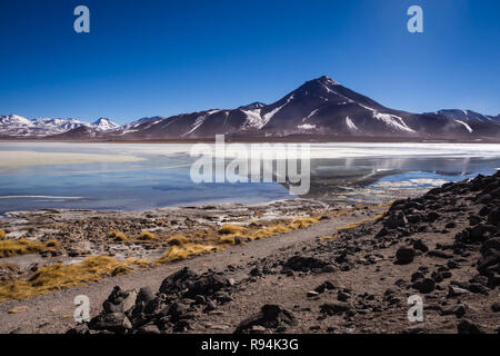 La Laguna Blanca est un lac salé au pied des volcans juriques et Licancabur - Eduardo Avaroa, Réserve nationale de faune andine Bolivie. Uyuni Banque D'Images