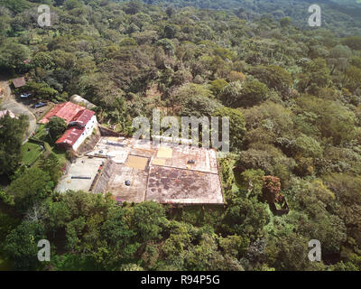 Séchage du café brut sur drone aérien plantation view Banque D'Images