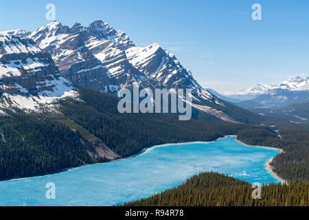 Le lac Peyto - Parc national de Banff, Canada Banque D'Images