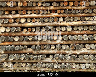 Pile de bois crest motif mur branch Banque D'Images