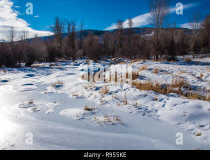 Hiver neige prés et petit ruisseau. Banque D'Images