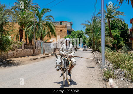 Agriculteur en vêtements traditionnels équitation son âne dans la rue d'Al Bairat dans la banlieue de Louxor, Egypte Banque D'Images