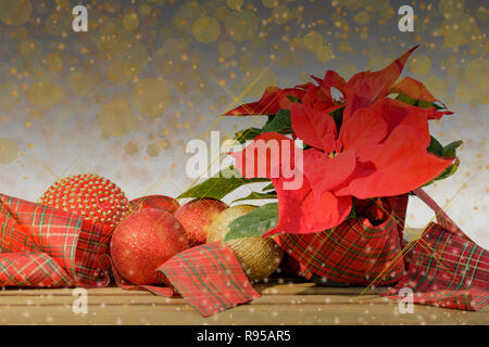 Poinsettia rouge fleur avec sapin et neige sur golden glitter. Composition de Noël. Carte postale élégant. Banque D'Images