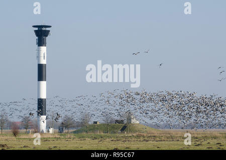 11.02.2013, Wewelsfleth, Schleswig-Holstein, Allemagne - vor dem Nonnengaense Oberfeuer- Osterende Leuchtturm -dans Hollerwettern (Gem. Wewelsfleth) dans de Banque D'Images