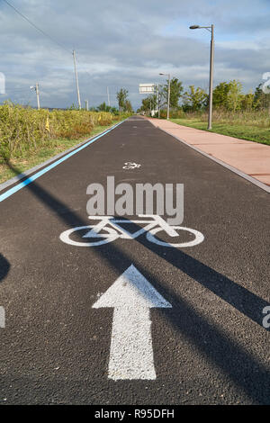 Location seule marque de la route et d'une flèche peinte sur une route asphaltée dans un parc en Corée. Banque D'Images