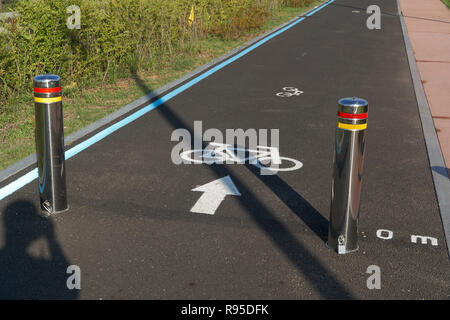 Location seule marque de la route et d'une flèche peinte sur une route asphaltée dans un parc en Corée. Banque D'Images