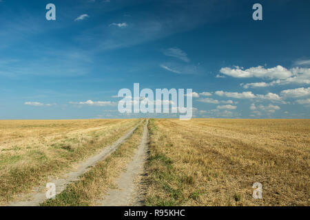 Route à travers un champ fauché, horizon et ciel bleu Banque D'Images